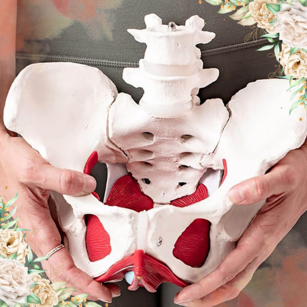 Sex Strengthens the Pelvic Floor