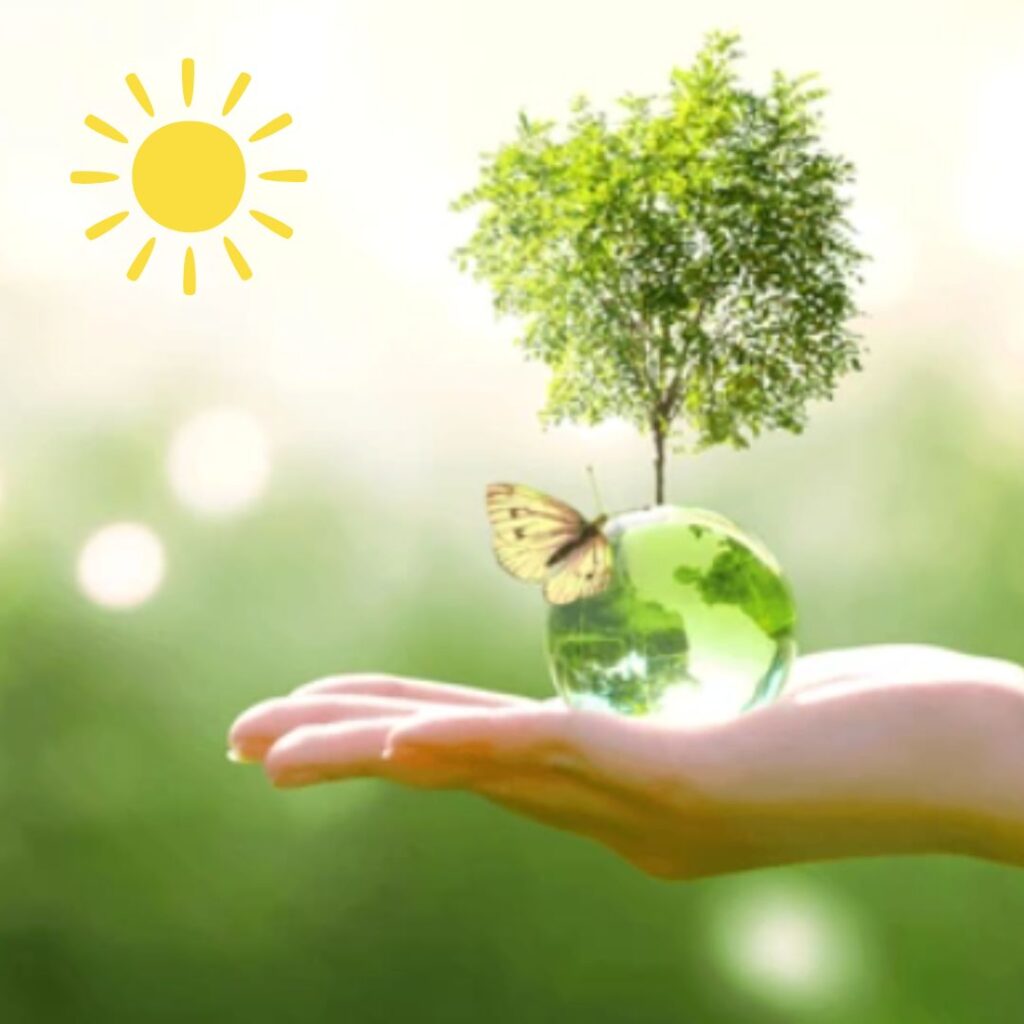 Clean and Safe Environment